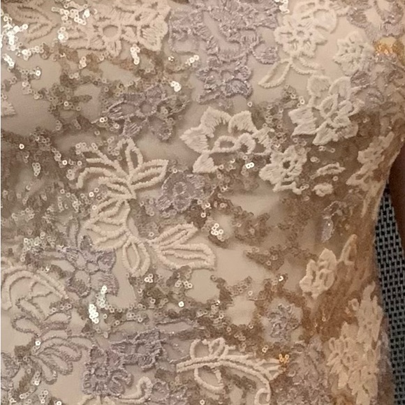 Evening Gown (or Prom Dress) / size 10 / worn once - Picture 4 of 4